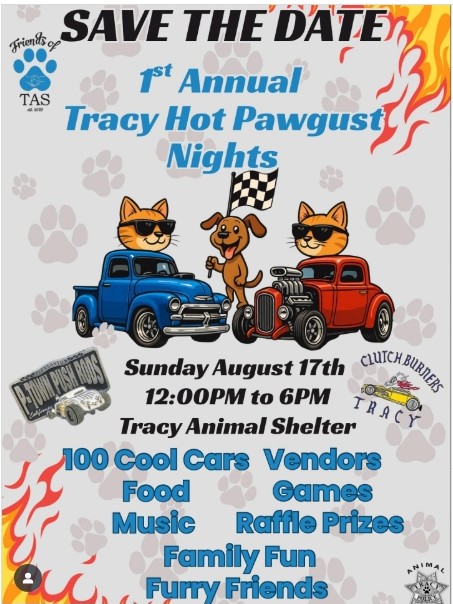 Screenshot_11-8-2025_112940_www.instagram.com